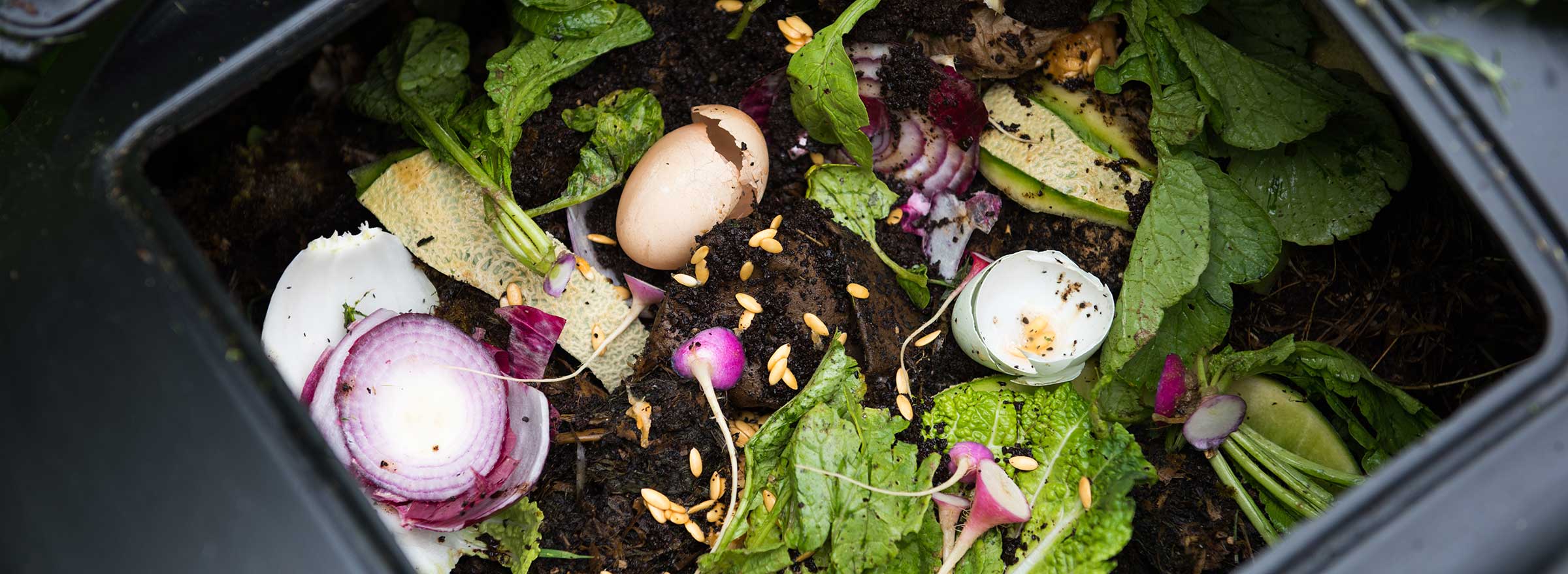 Composting for Restaurants: How and Why