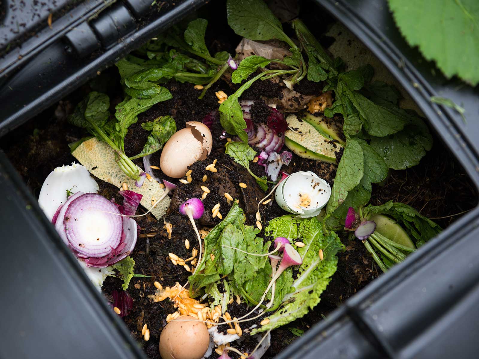 Composting for Restaurants: How and Why