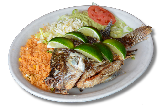 Toro Mexican Grill fish dish