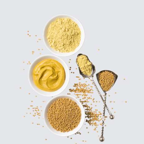 Tangy Mustard Seasoning