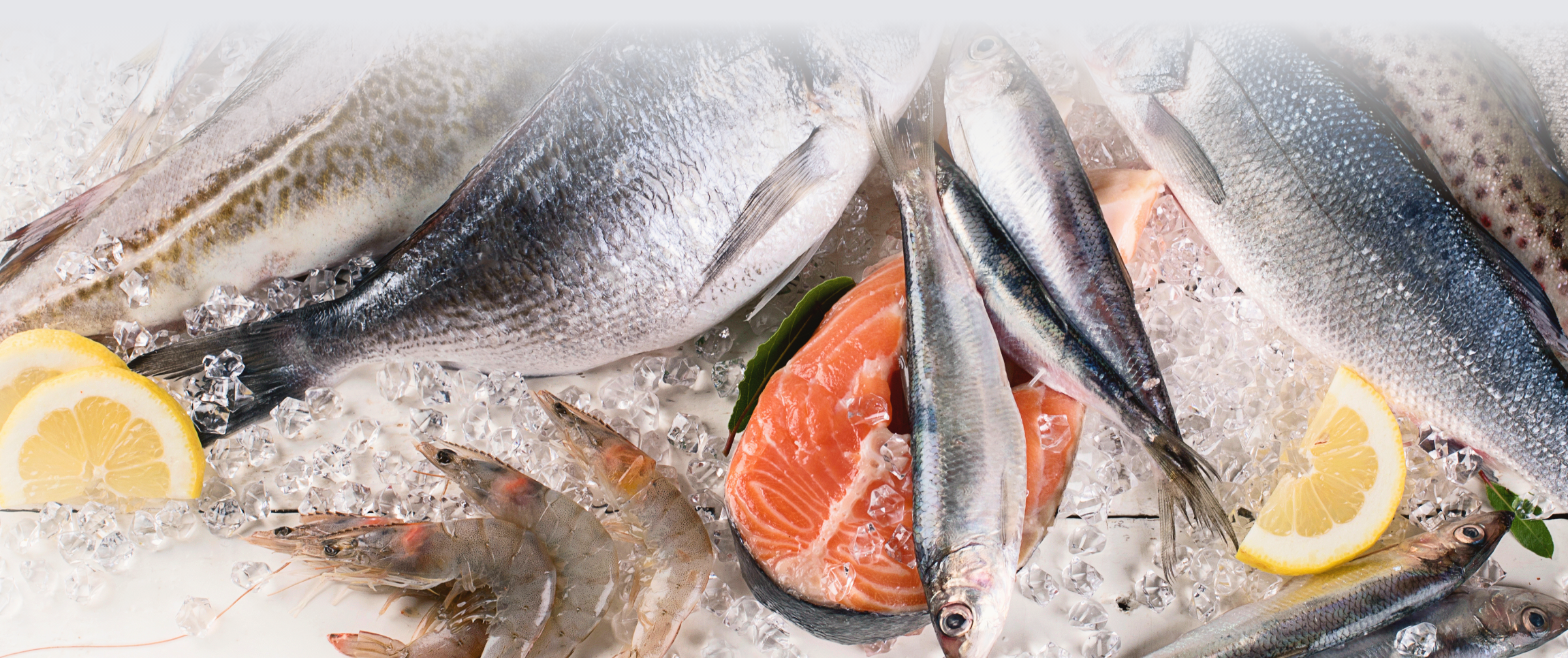 Seafood Anchors Summer Menus