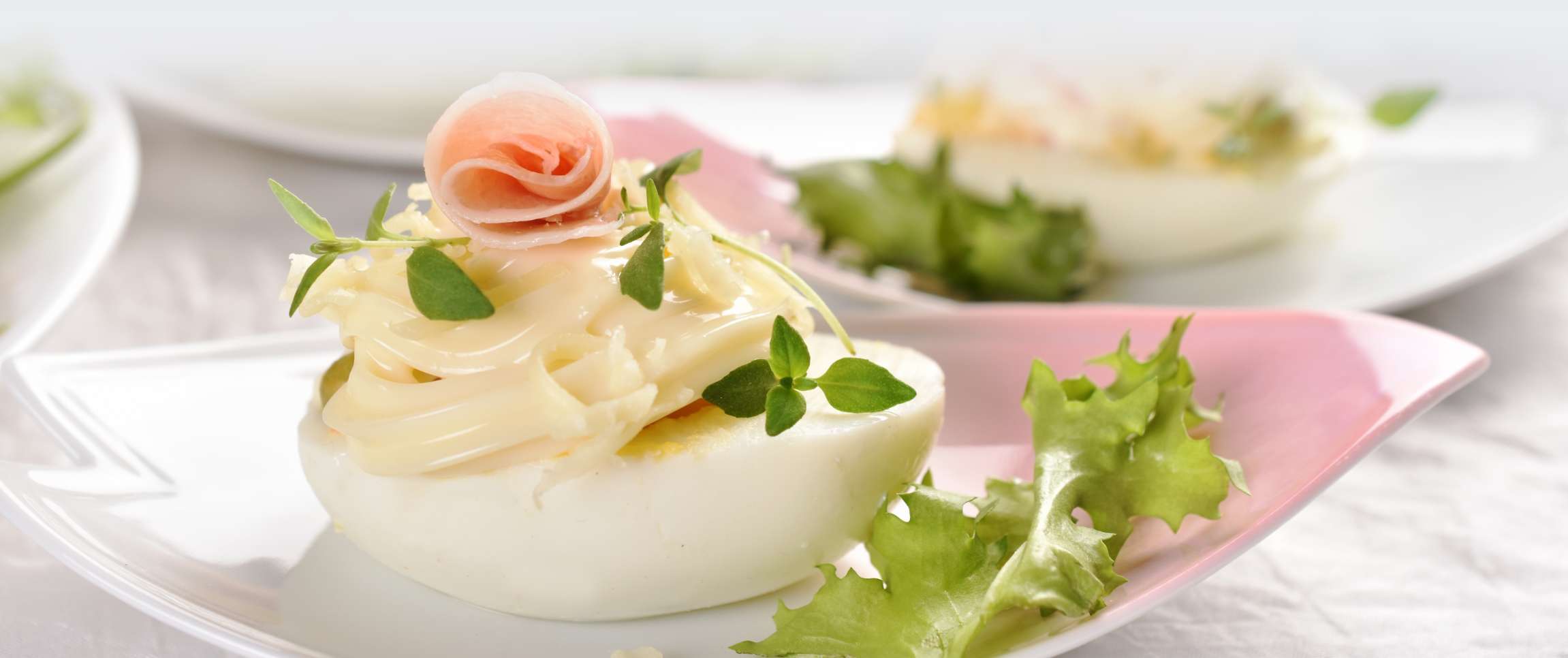 Mayo Days Be Merry & Bright