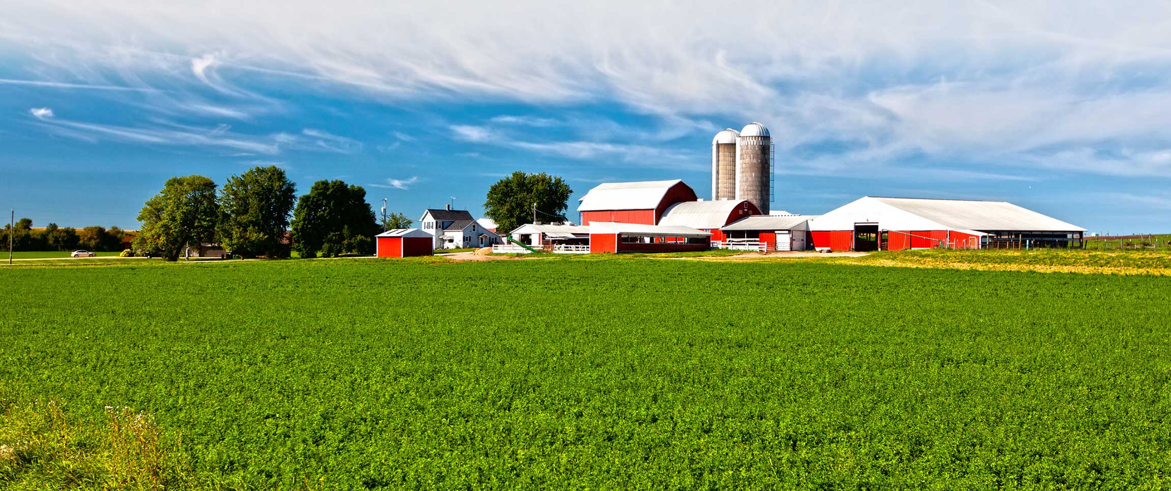 Serving Up Sustainability