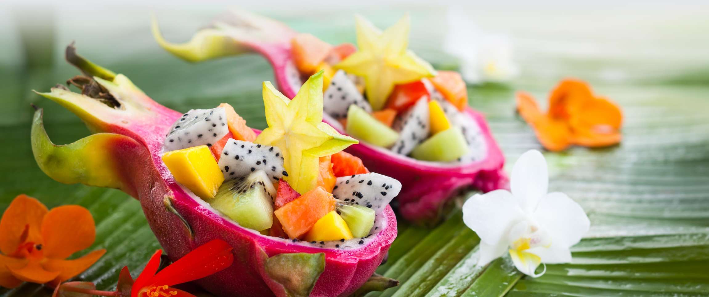 Tropical Temptations