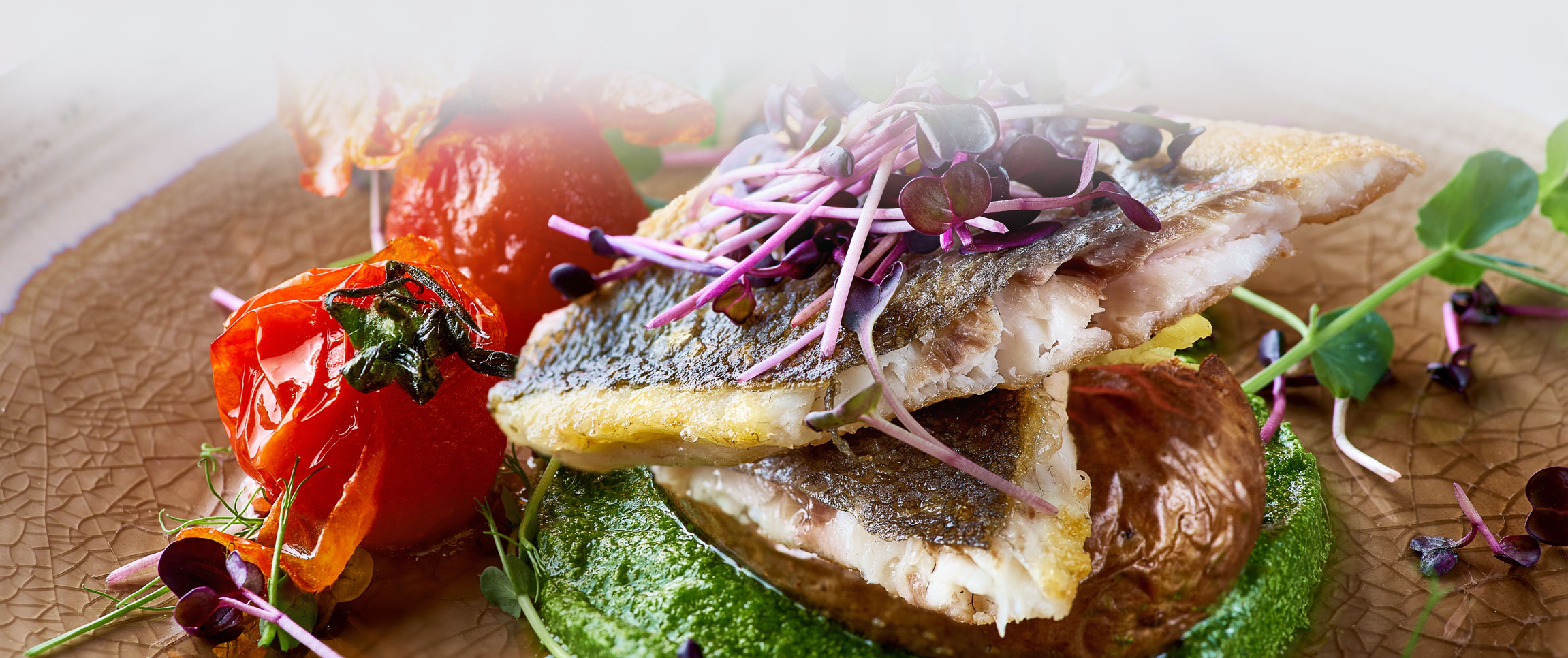 Custom Solutions Hero Full Image