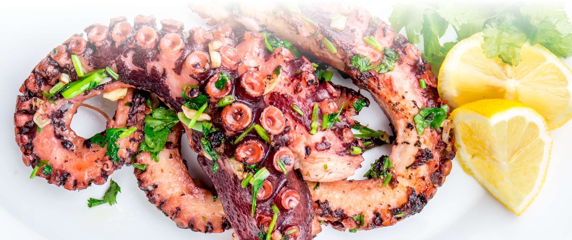 Bay Winds® Wild Caught Spanish Octopus