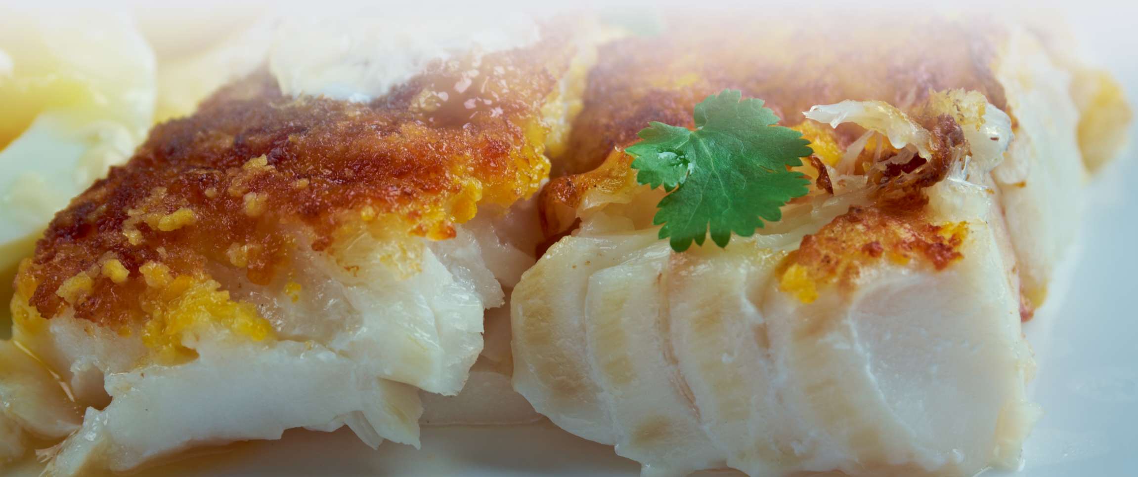 Bay Winds Haddock