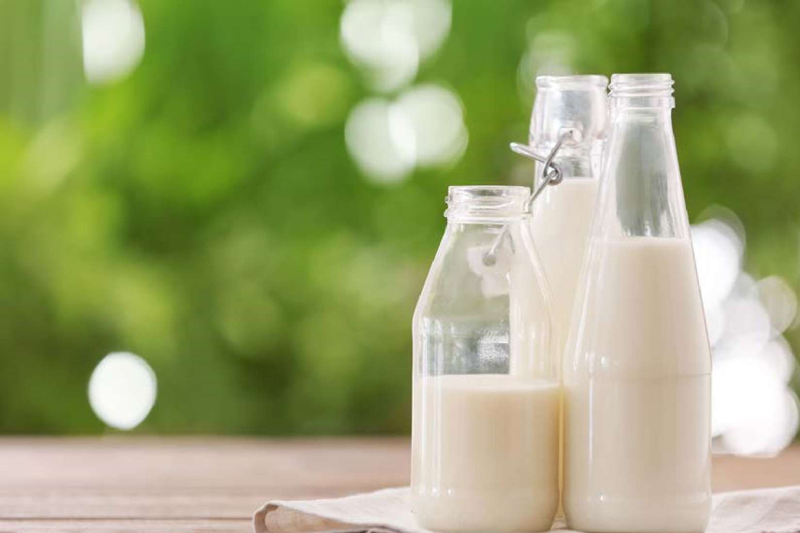 Nature’s Best Dairy® Grade A Lowfat Buttermilk, Grade A Half & Half, and Grade A 36% Heavy Whipping Cream