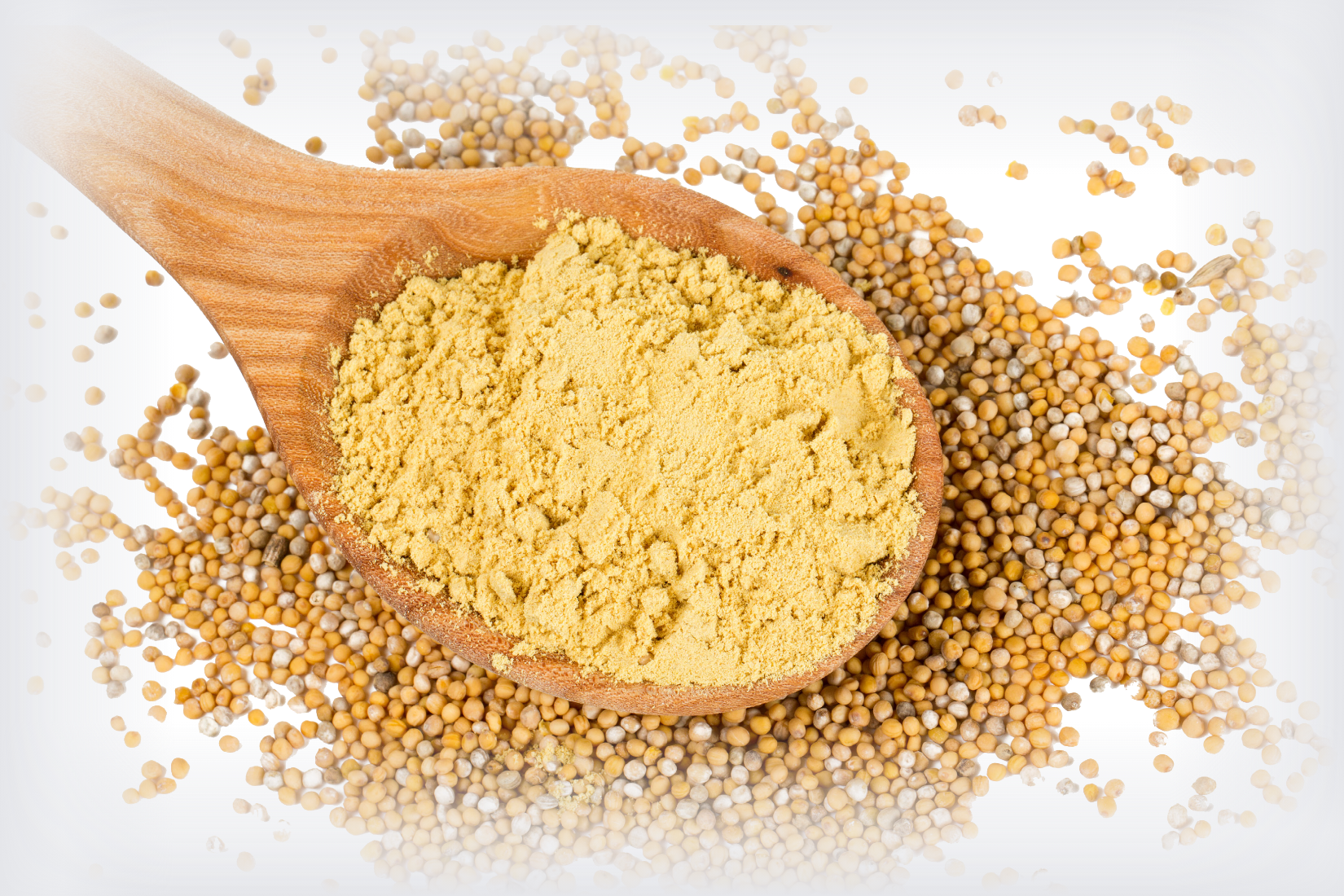 Magellan Ground Mustard