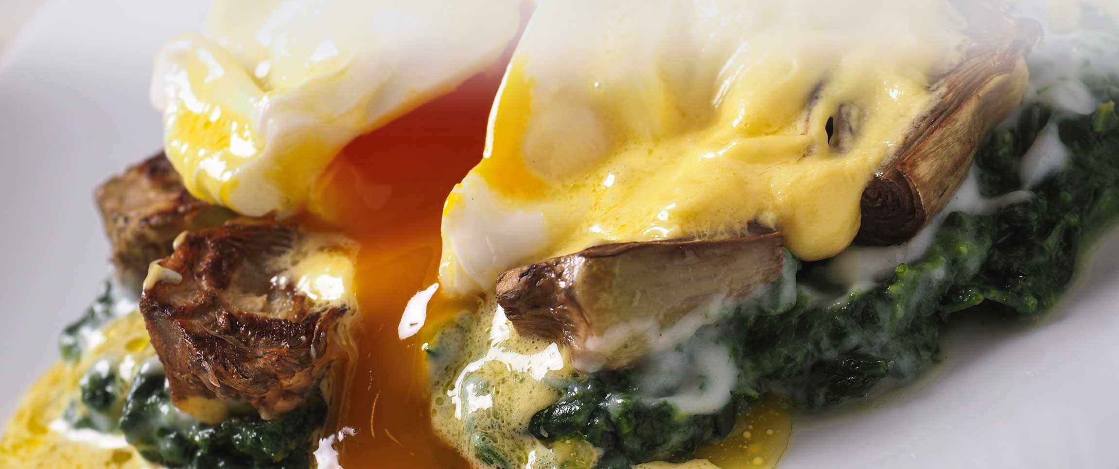 Nature's Best Dairy Eggs Sardou