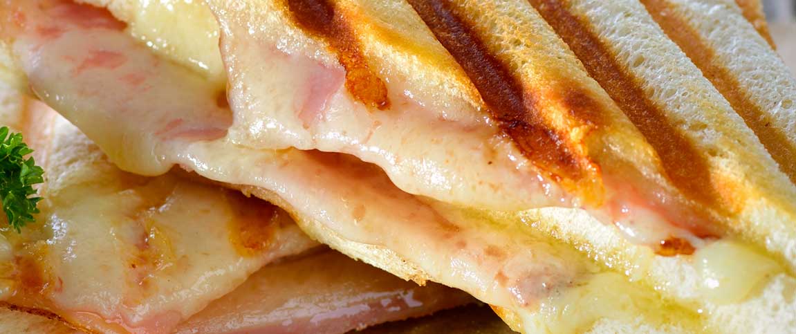 Brie and Prosciutto Panini