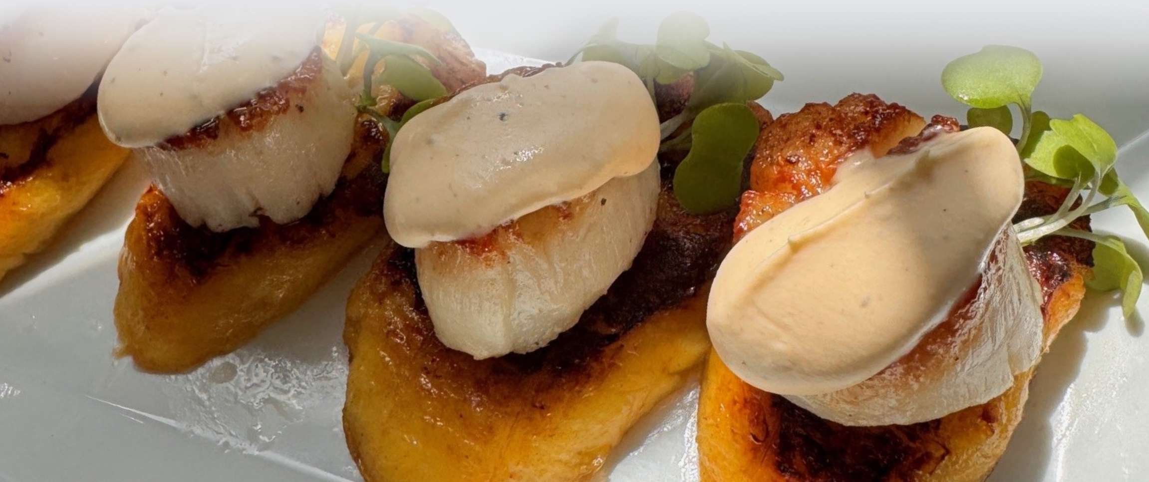 Contigo Ancho Scallops Maduros