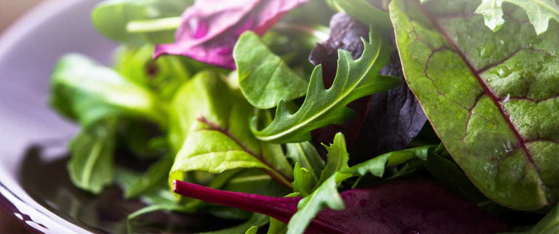 Mediterranean Herb Salad