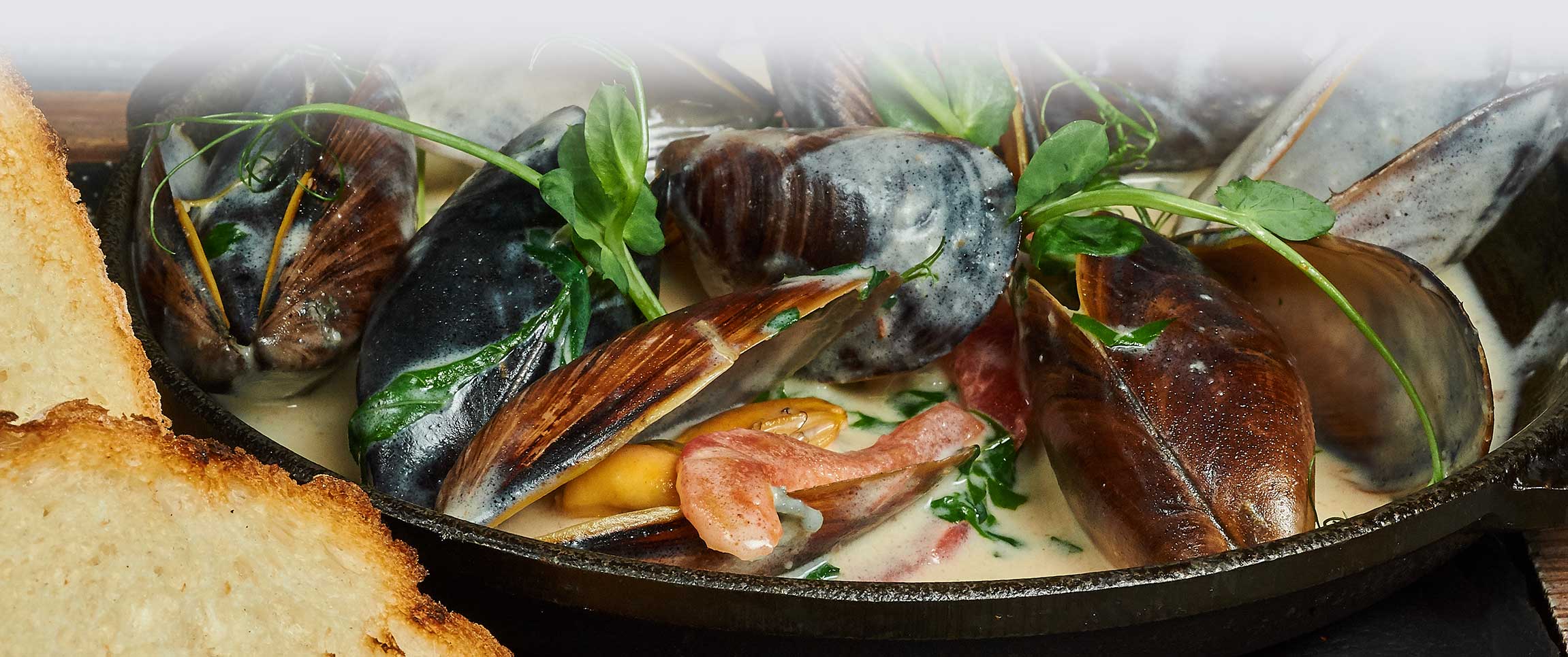 Steamed Mussels in Chardonnay Broth