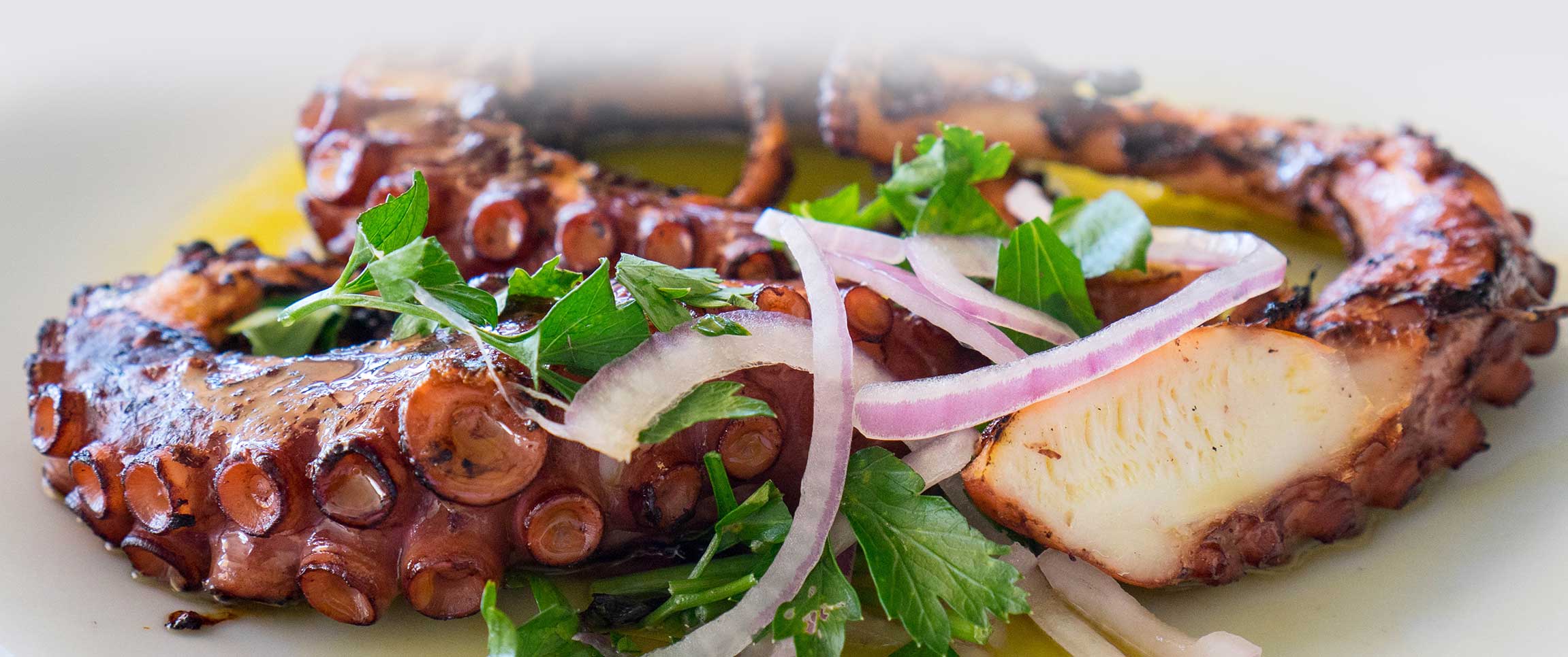 Chargrilled Octopus